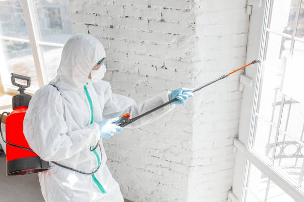 Best Environmental Consulting for Mold Prevention  in North Crossett, AR